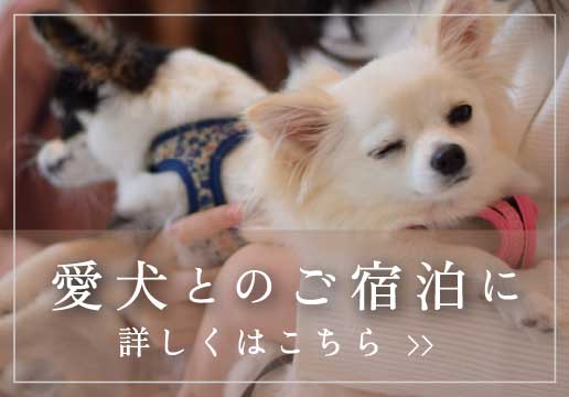 愛犬との宿泊について